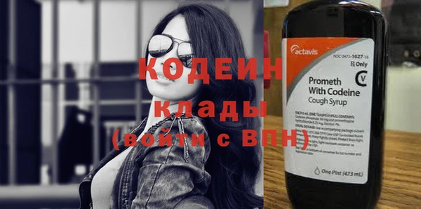 шишки Бикин