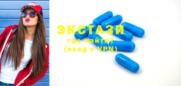 шишки Бикин