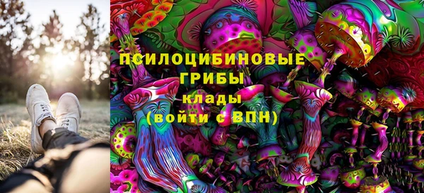 шишки Бикин