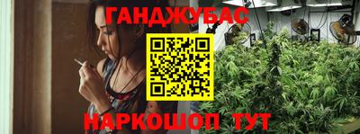 сатива Кулебаки