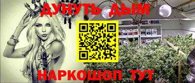 сатива Кулебаки